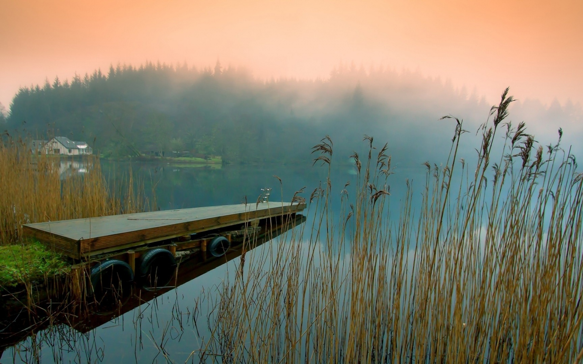Картинки Пирс, туман, трава, озеро фото и обои на рабочий стол