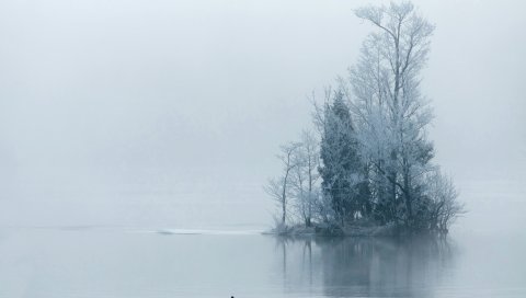 Остров, деревья, иней, туман, утро, дымка