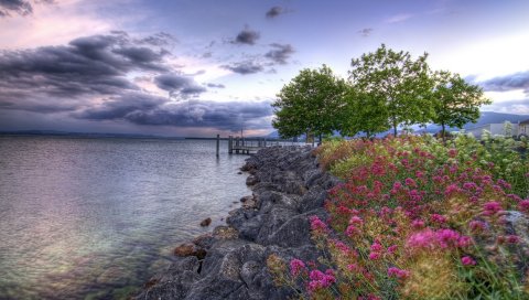 Цветы, камни, побережье, пирс, море, облачно, цвета