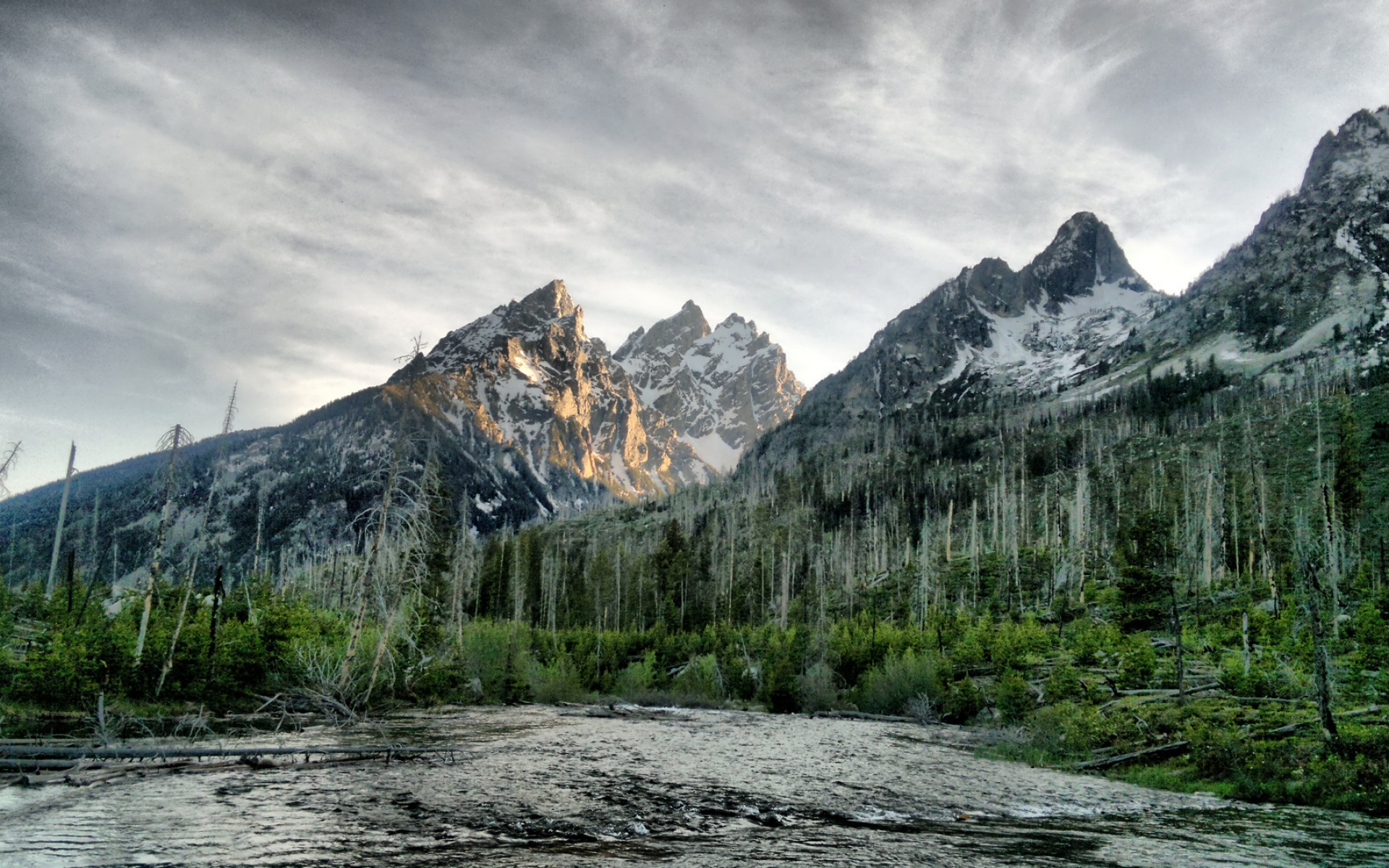 Mountain wood. Горный лес. Задний фон горы. Обои лес горы. Обои 1600x900 горы.