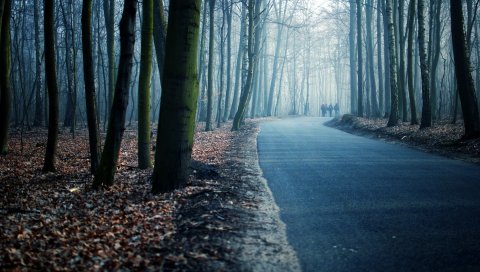 Дорога, парк, проспект, вечер, туман, прогулка, люди, поворот