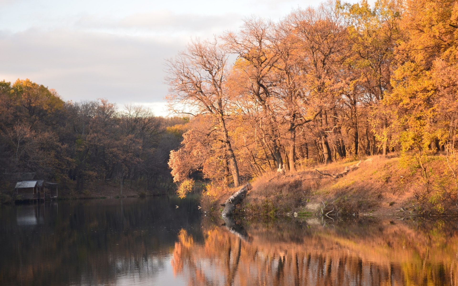 Картинки Осень, деревья, водохранилище фото и обои на рабочий стол