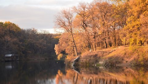 Осень, деревья, водохранилище