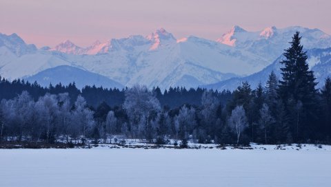 Лес, горы, зима