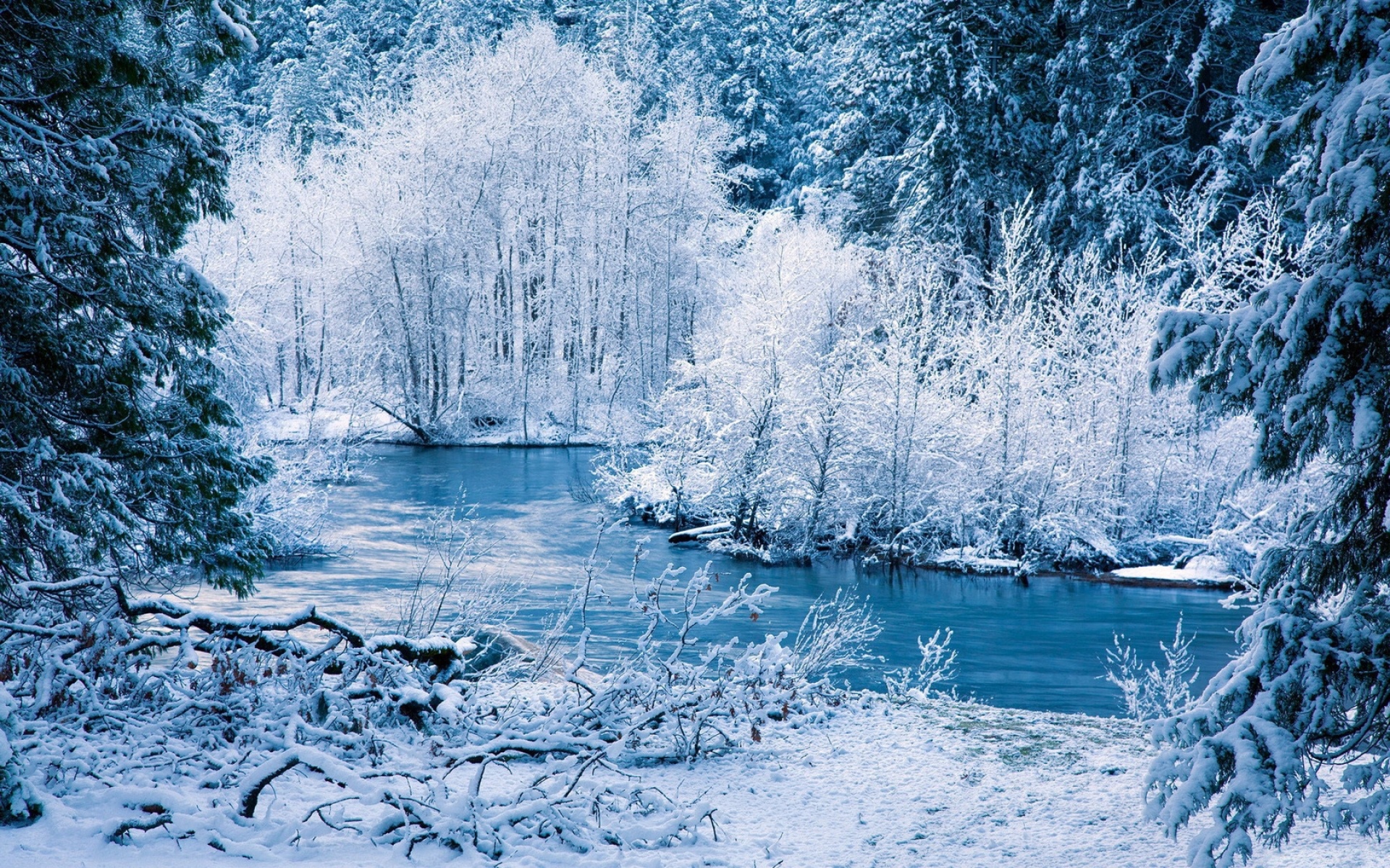 Картинки Зима, река, снег, деревья, пейзаж фото и обои на рабочий стол