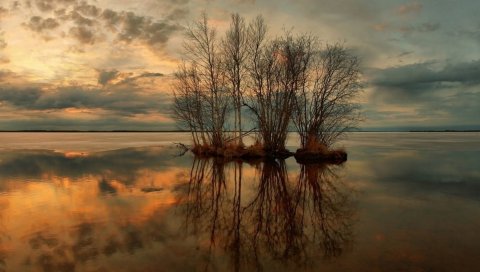 Деревья, вода, озеро, отражение, спад, сирень