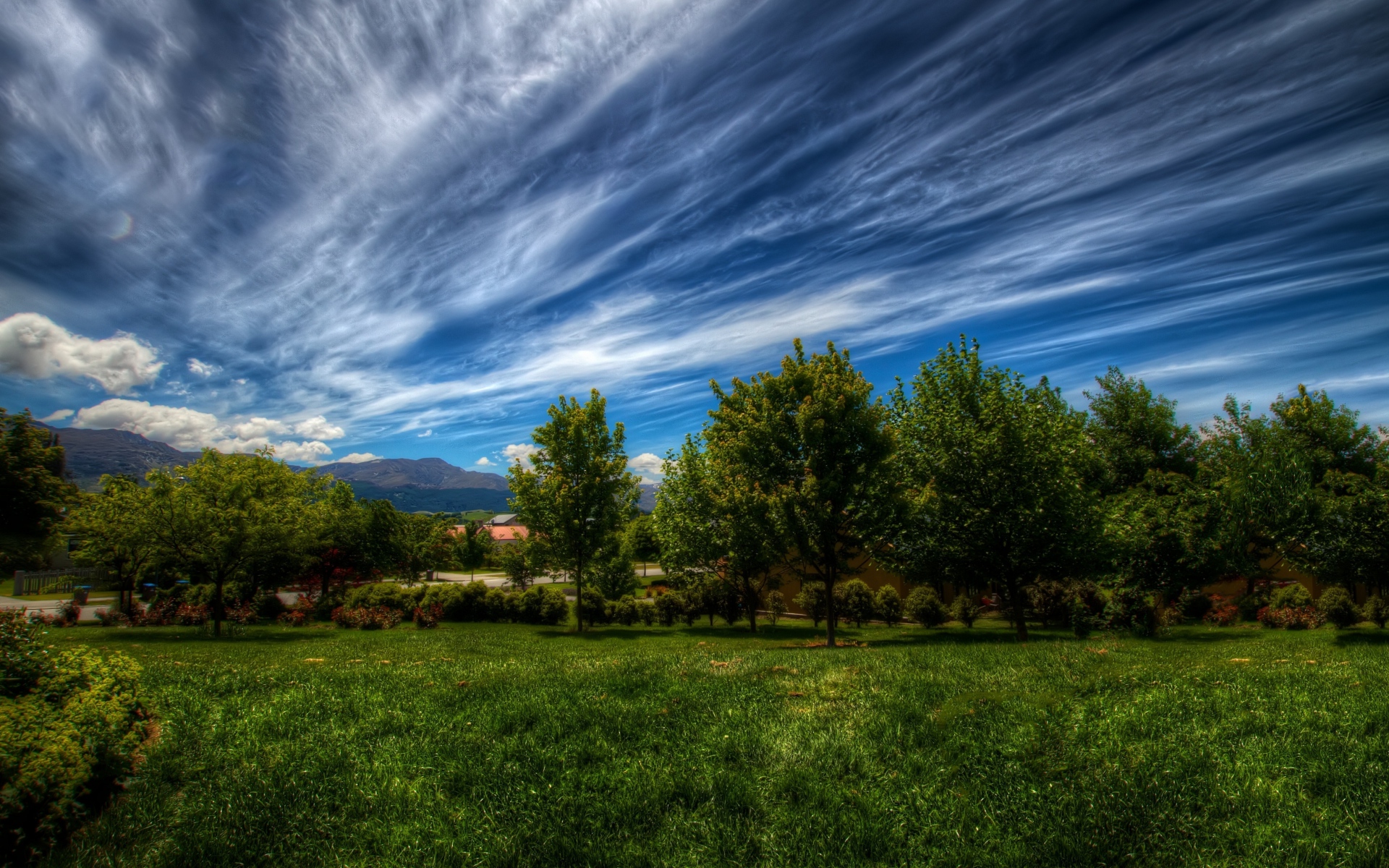 Картинки Небо, линии, облака, деревья, трава фото и обои на рабочий стол