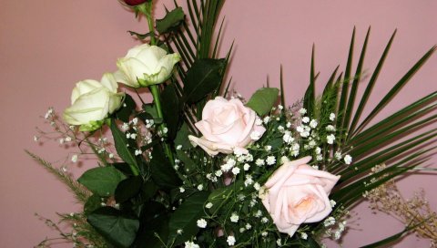 Розы, цветы, цветок, папоротник, гипсофила, композиция