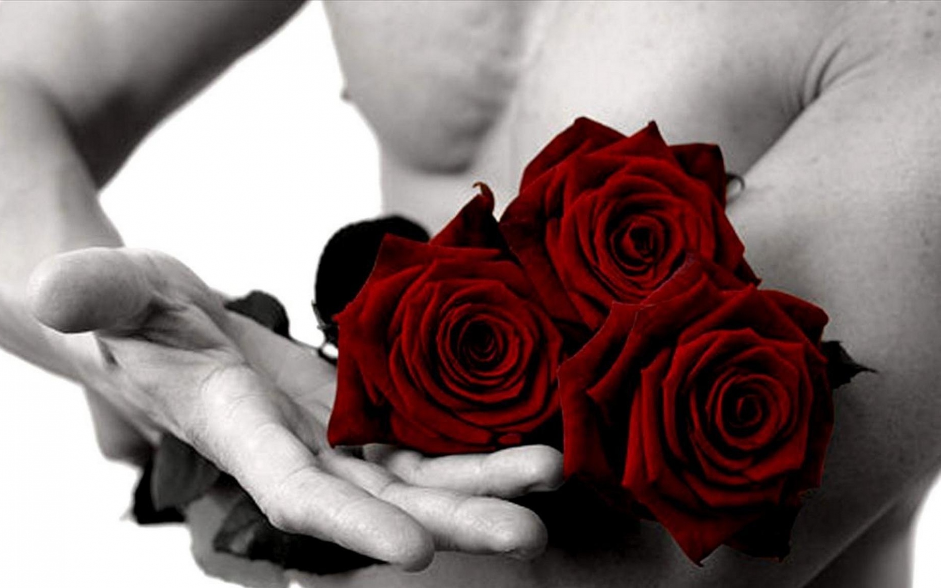 Мужчина женщина руки роза