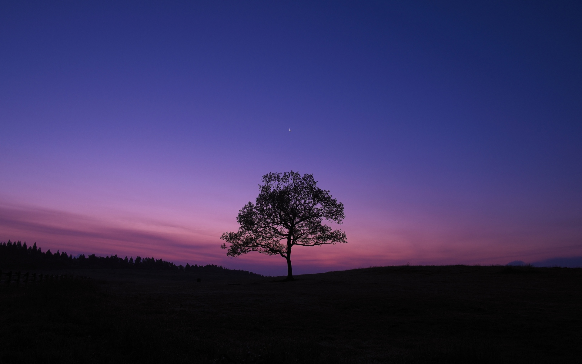 Картинки Дерево, ночь, луна, небо, одиночество фото и обои на рабочий стол