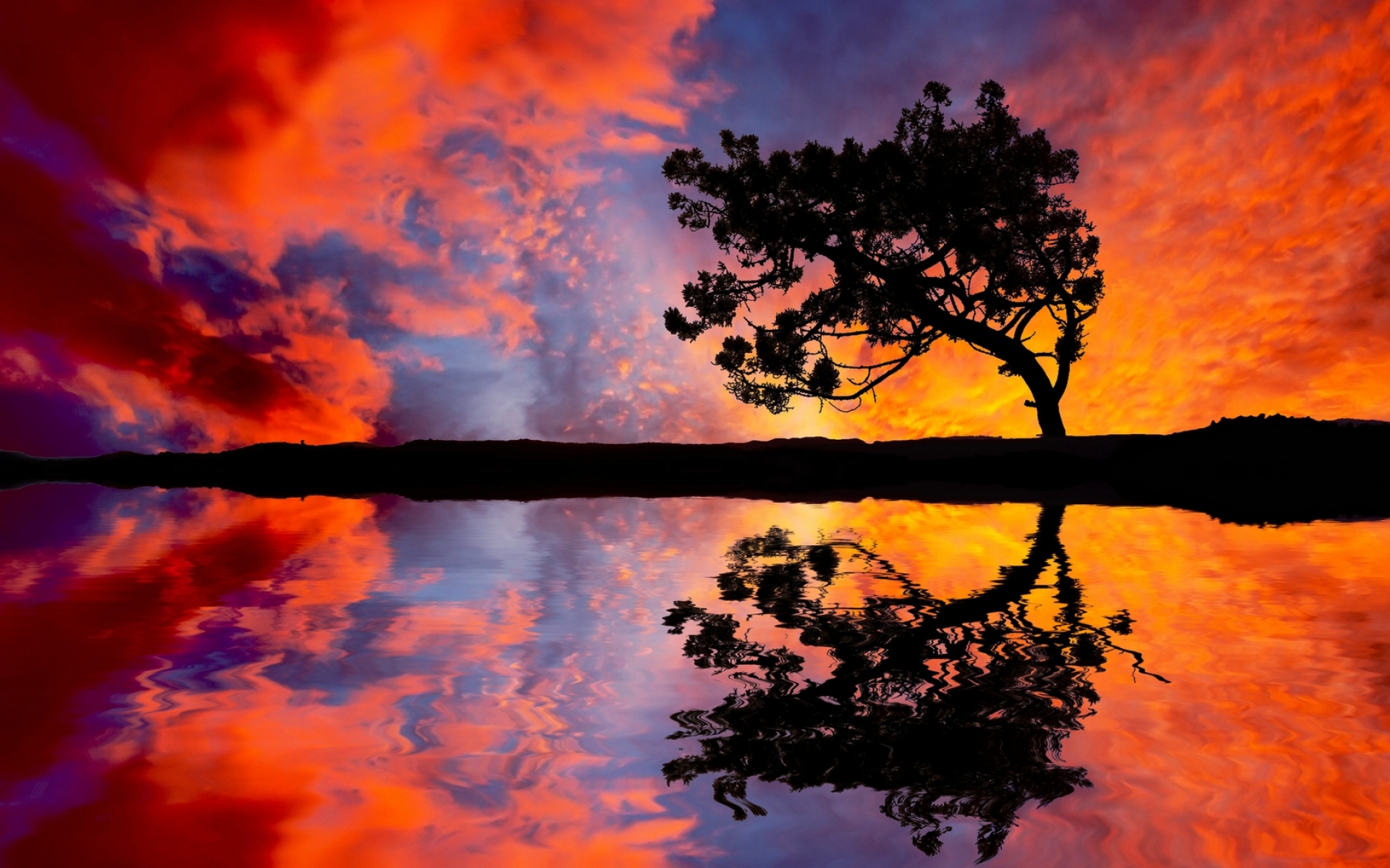 Картинки Дерево, склон, вечер, озеро, оранжевый, небо фото и обои на рабочий стол