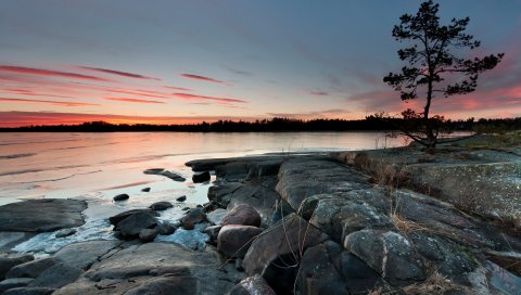 Камни, побережье, море, пейзаж, тишина, дерево, контур, небо