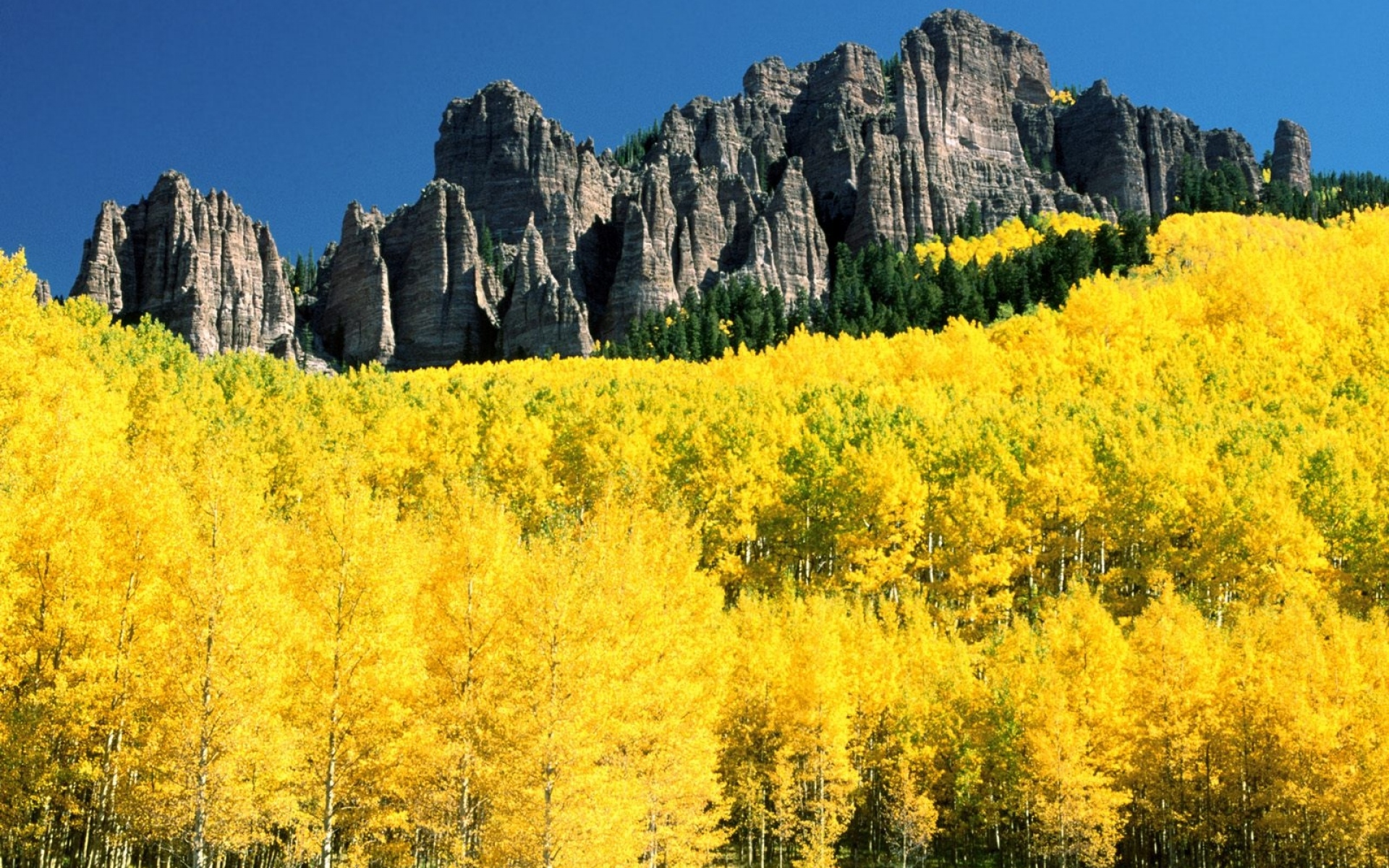 Картинки Осень, березы, горы, желтый, колорадо фото и обои на рабочий стол