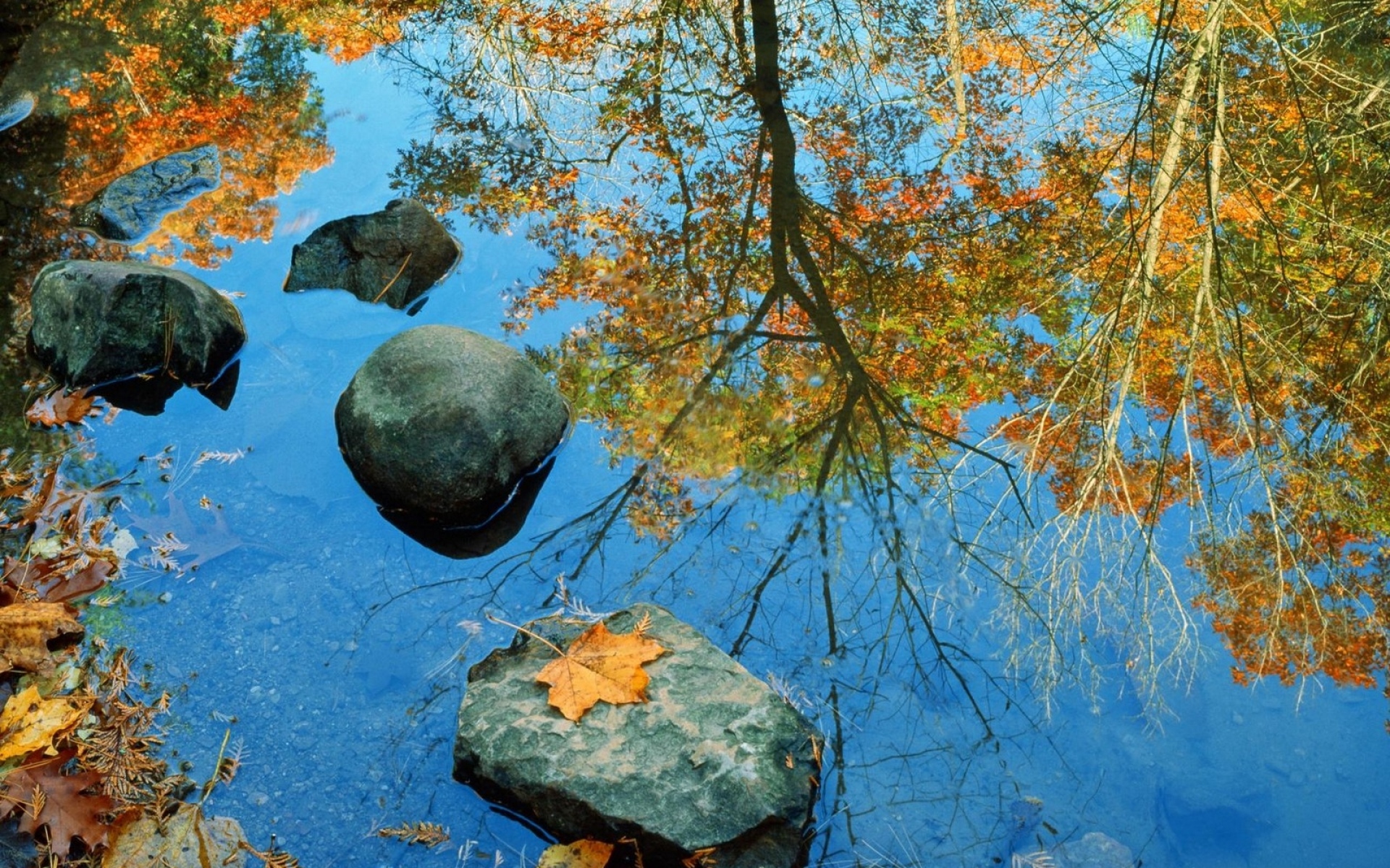 Картинки Осень, камень, листья, цвета, отражение, зеркало фото и обои на рабочий стол
