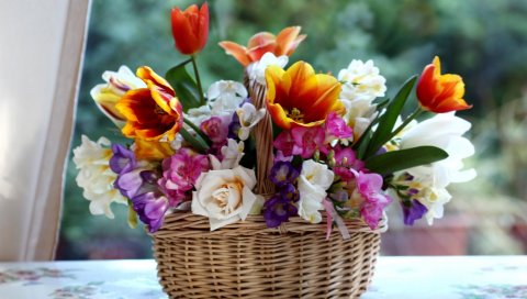 Тюльпаны, розы, фрезия, цвет, состав, комбинация, корзина