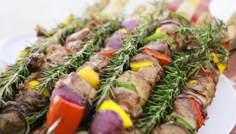 Шашлык, мясо, овощи, ветки, специи