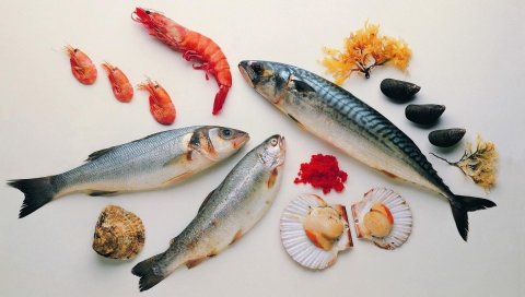 Морепродукты, рыба, креветки, устрицы