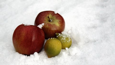 Лимоны, яблоки, снег