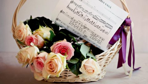 Розы, цветы, цветок, корзина, музыка