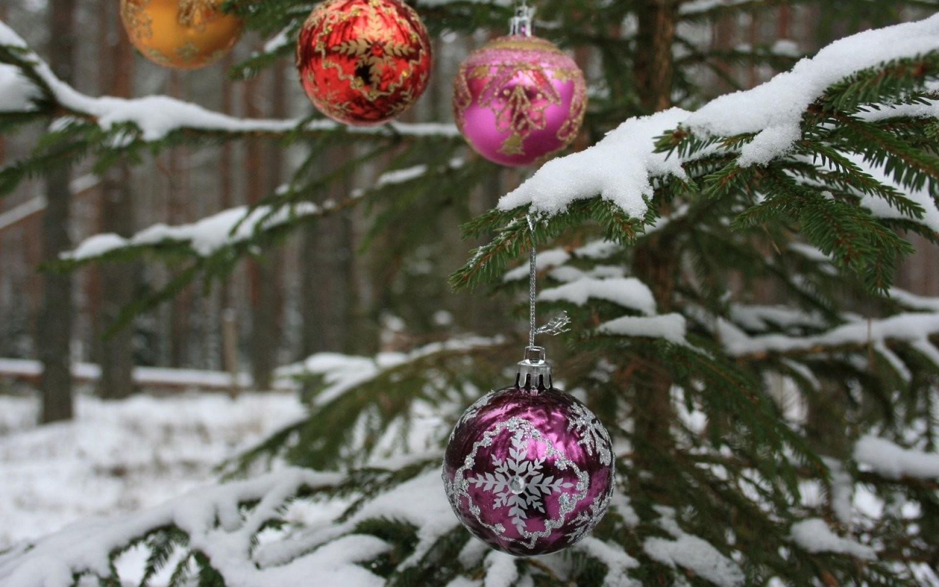 Картинки Дерево, ветка, снег, шары, лес, праздник, новый год фото и обои на рабочий стол