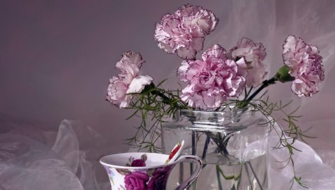Гвоздики, цветы, чайная пара, ваза