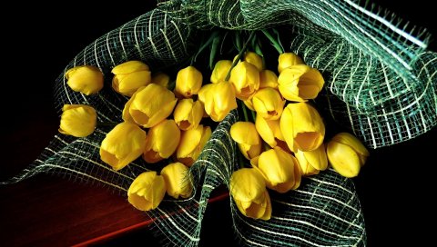 Тюльпаны, цветы, желтый, цветок, украшение