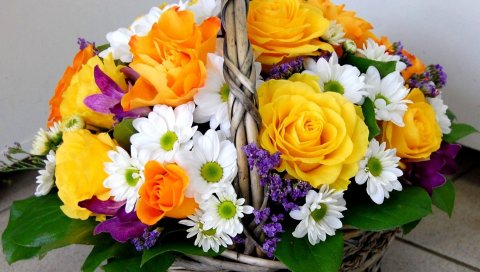 Розы, ромашки, цветы, магазины, дизайн, красивые