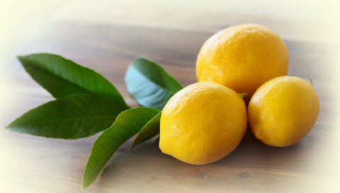 Лимоны, листья, желтый, цитрон