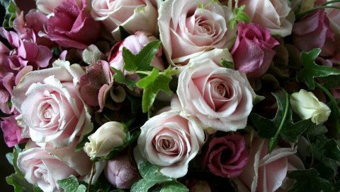 Lisianthus russell, розы, цветы, букет, капля, свежесть, листья