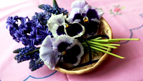 Гиацинт, мускари, анютины глазки, цветы, букет, корзина