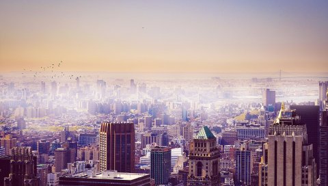 Город, крыша, небоскребы, вид сверху