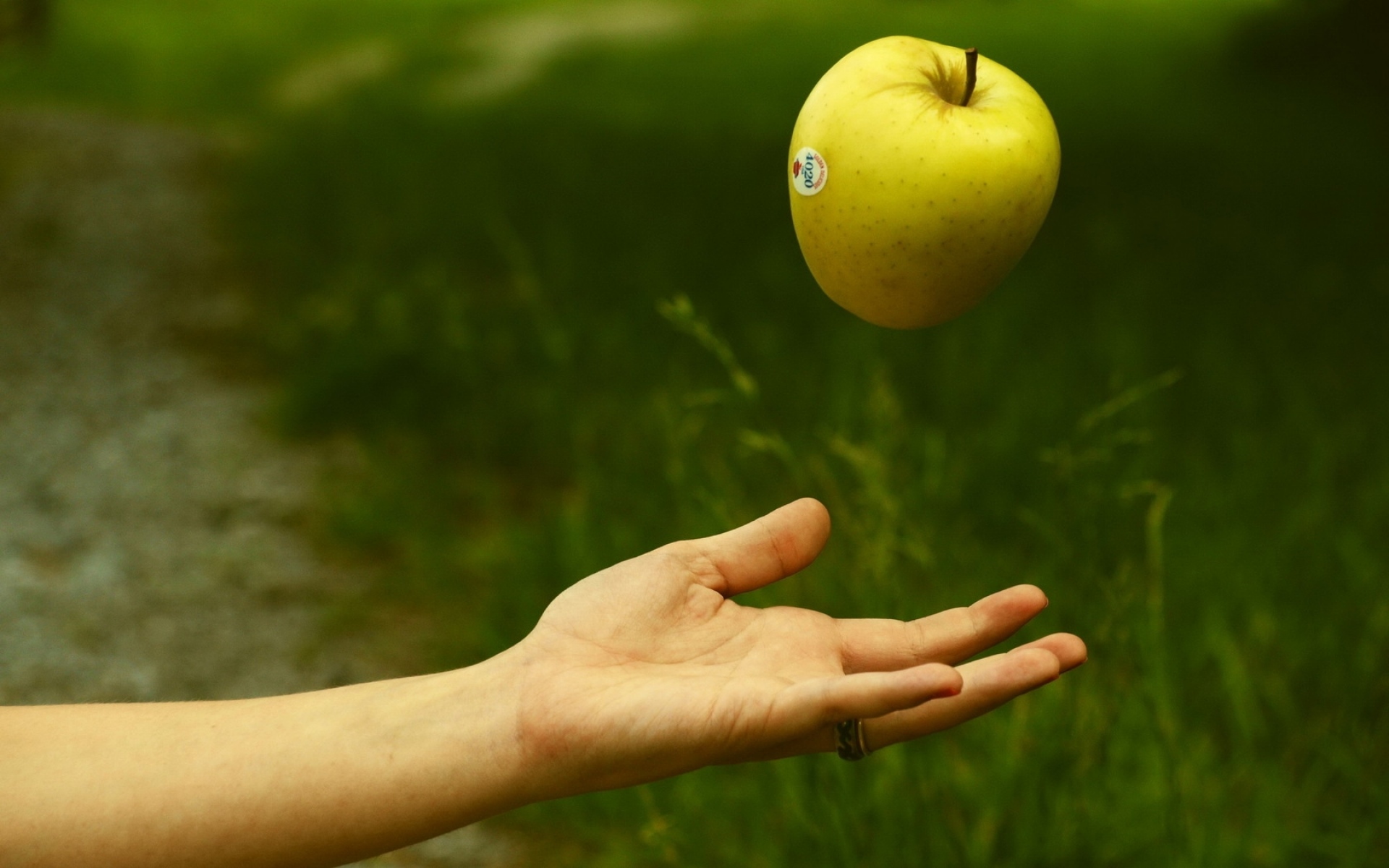 фото нажатием на яблоко