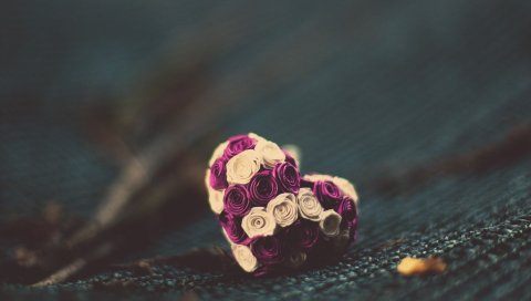 Цветы, маленький, цветок,