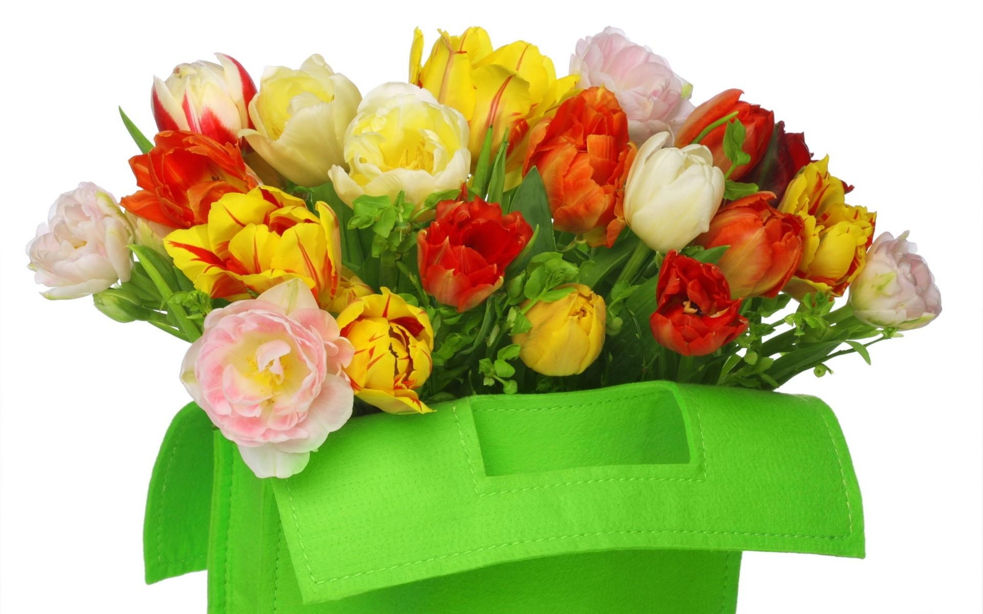 Картинки Тюльпаны, цветы, сумка, букет, белый фон фото и обои на рабочий стол