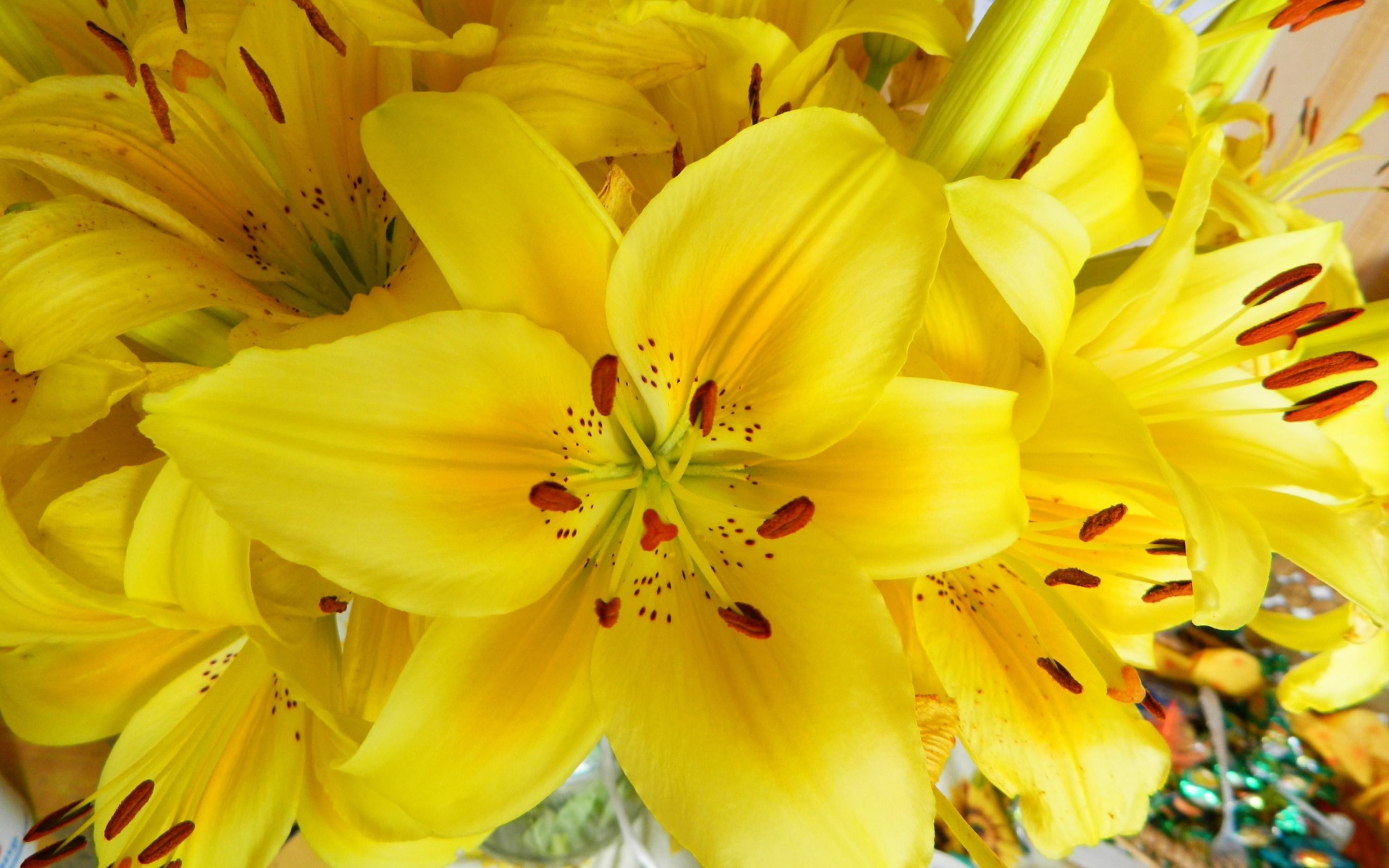 Картинки Лилии, цветы, цветок, желтый, яркий, тычинки фото и обои на рабочий стол