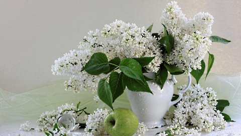 Сирени, веточки, белоснежные, весна, букет, яблоко