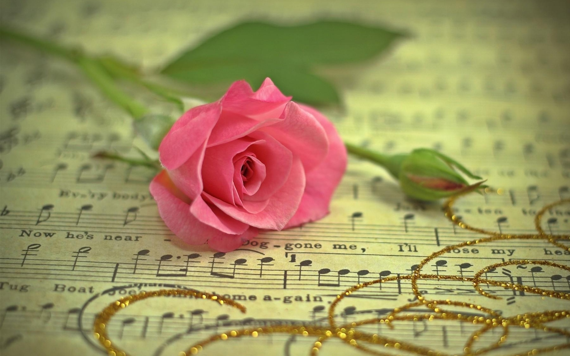 Картинки Роза, цветок, музыка, нитка, золото фото и обои на рабочий стол