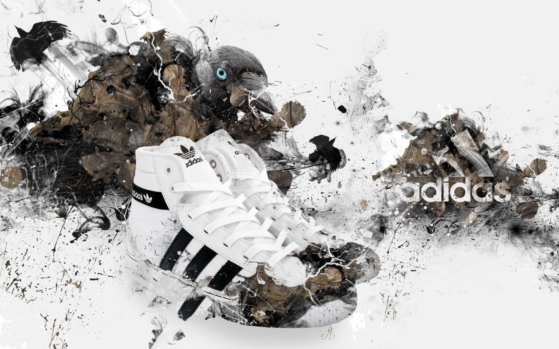Картинки Adidas, кроссовки, стильные, брендовые фото и обои на рабочий стол