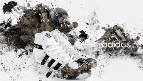 Adidas, кроссовки, стильные, брендовые