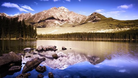 Озеро, горы, дно, дерево, зеркало, отражение