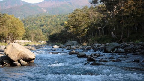 Горная река, ручей, вода, камни, брызги