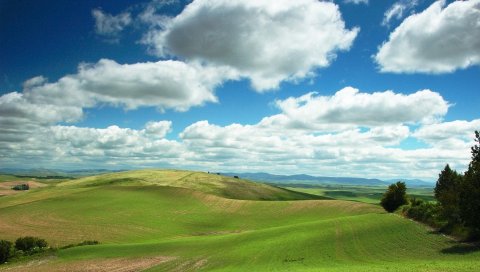 Равнина, зелень, облака, поля, спокойствие