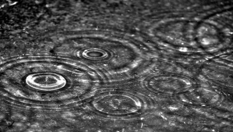 Капли, круги, вода, дождь, серый