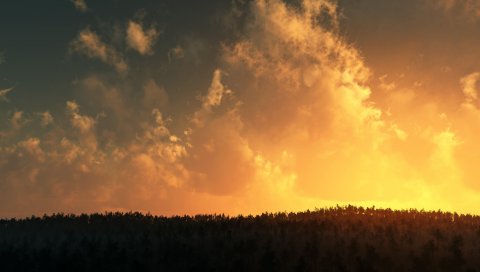 Деревья, горизонт, крона, облака, небо, высота