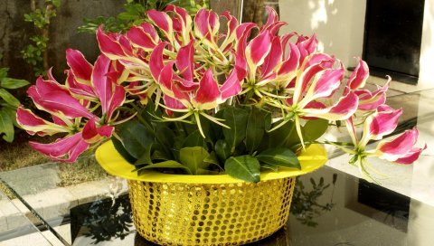 Gloriosa, шляпа, цветы, блестки, стол