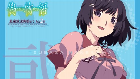 Hanekawa tsubasa, monogatari-series, nisemonogatari, девушка, брюнетка, улыбка
