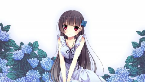Sankarea, девушка, брюнетка, букет, цветы