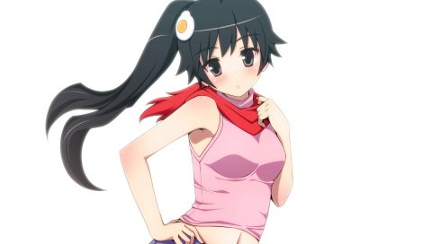 Araragi karen, bakemonogatari, девушка, брюнетка, осанка, юбка, румянец