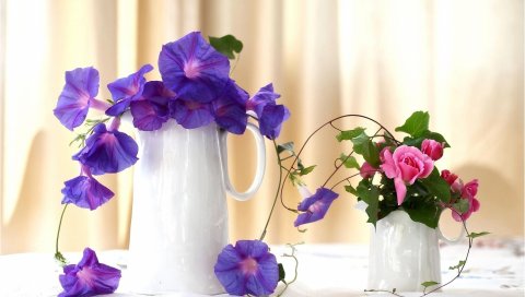 Утренняя слава, розы, кувшины, композиция, красивые