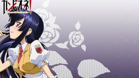 Campione, seifuku, seishuuin ena, девушка, брюнетка, профиль, галстук